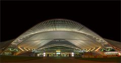 Liège-Guillemins at night ...