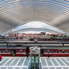 Liège-Guillemins - Bahnhof zwischen den Papierkörben