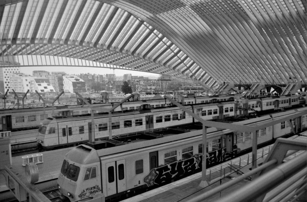 Liège Guillemins (B&W analog)