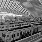 Liège Guillemins (B&W analog)