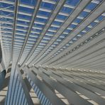 Liege - Guillemins Deckenkonstruktion 4