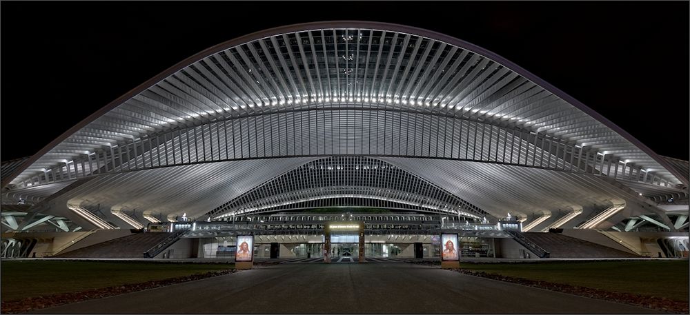 Liège Guillemins - Entrée ...