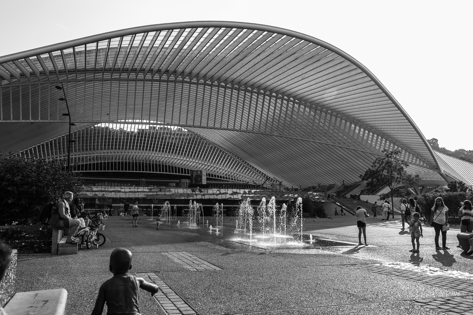 Liège-Guillemins