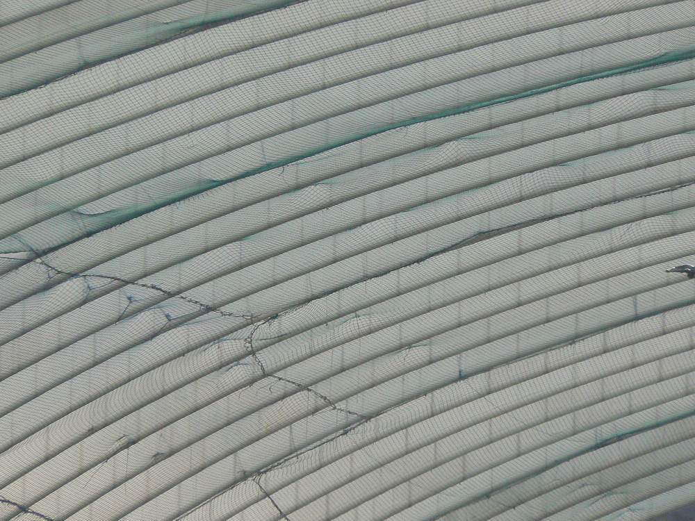 Liège Guillemins - gare Calatrava