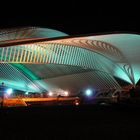 Liège Guillemins gare Calatrava - décembre 2007 nocturne