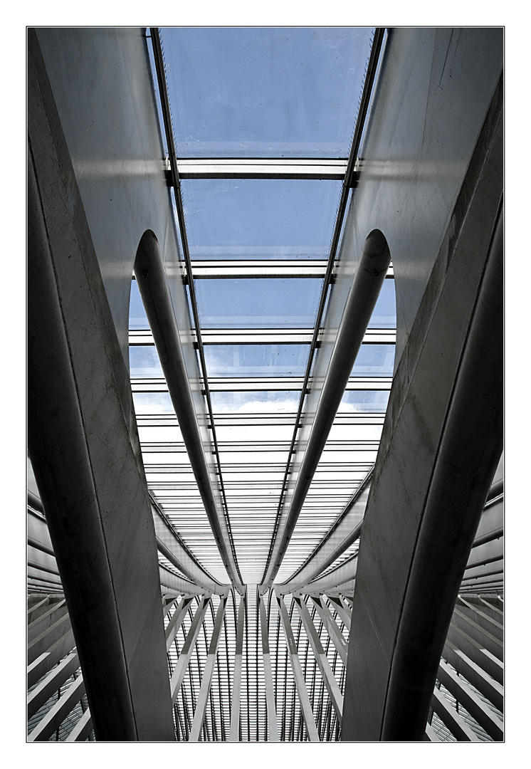 Liege-Guillemins I