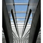 Liege-Guillemins I