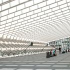 Liège-Guillemins I