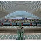 Liège-Guillemins II