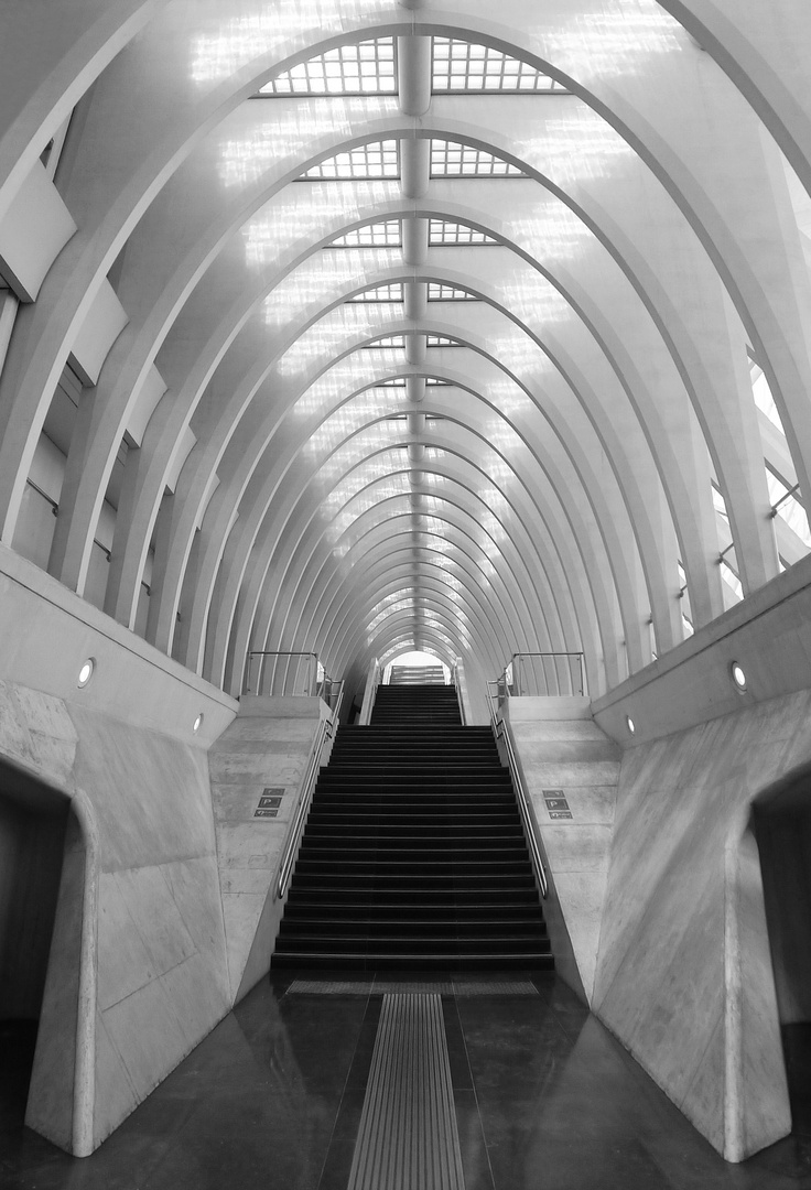 Liège-Guillemins II