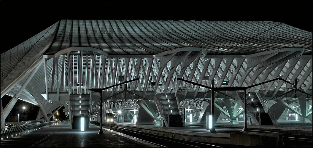 Liège Guillemins inside ...