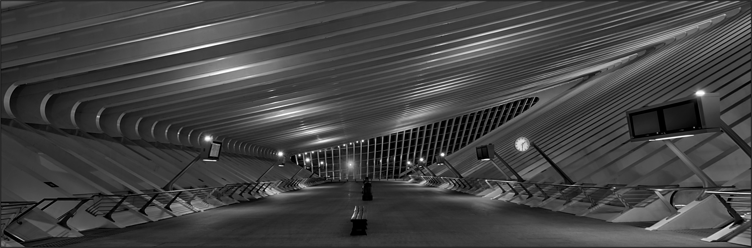 Liège Guillemins late night ...