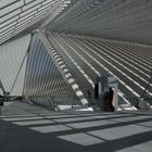 Liege-Guillemins oben 2