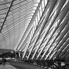 Liège-Guillemins - schwerelos