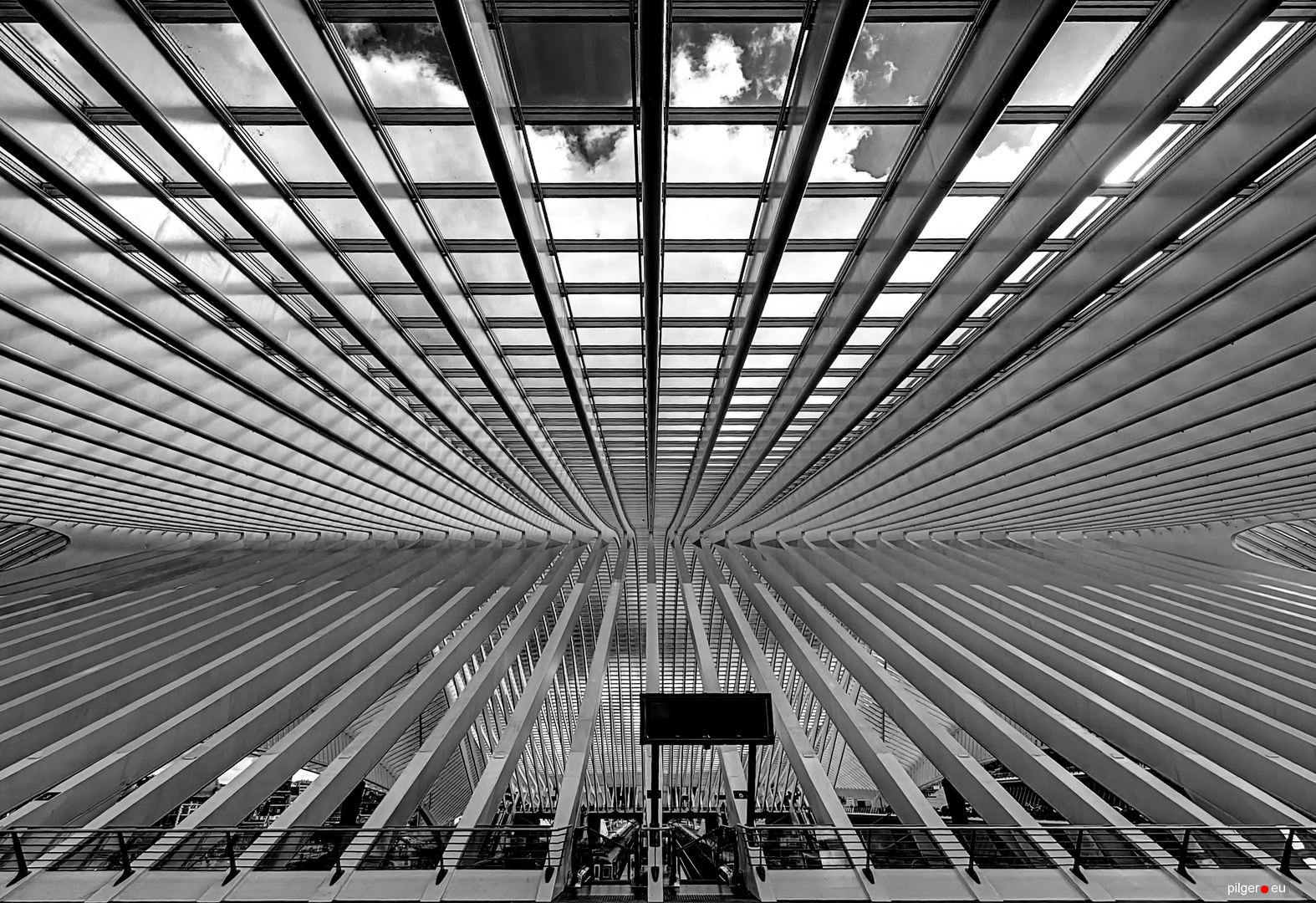 Liège-Guillemins - Symmetrie