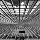 Liège-Guillemins - Symmetrie