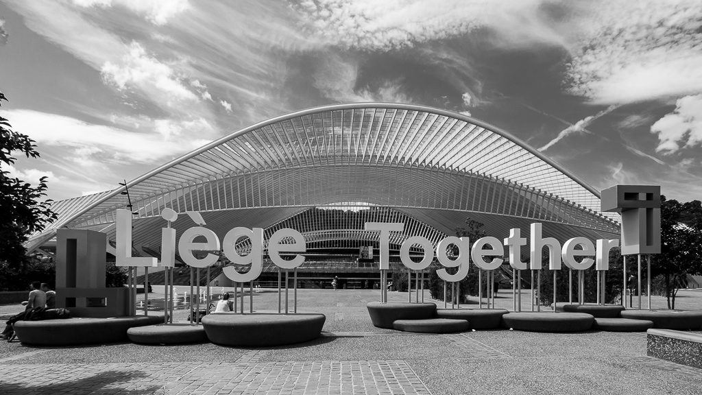 Liège-Guillemins -together-