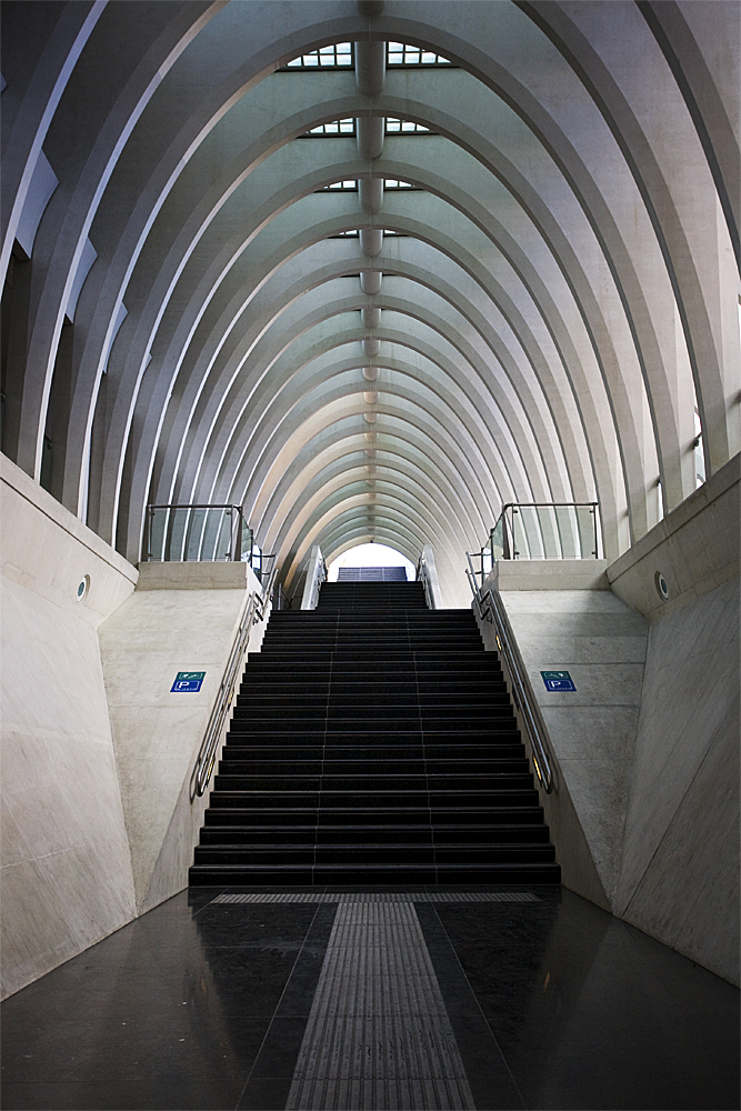 Liege - Guillemins Train Station [Stairs]