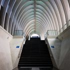 Liege - Guillemins Train Station [Stairs]