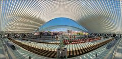 Liège-Guillemins & Trains (2) ...