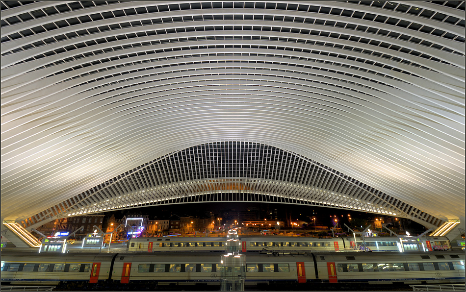 Liège-Guillemins & Trains ...