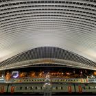 Liège-Guillemins & Trains ...