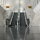 Liege-Guillemins Treppe 3