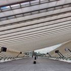 Liège-Guillemins um 13:42Uhr