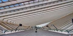 Liège-Guillemins um 13:42Uhr