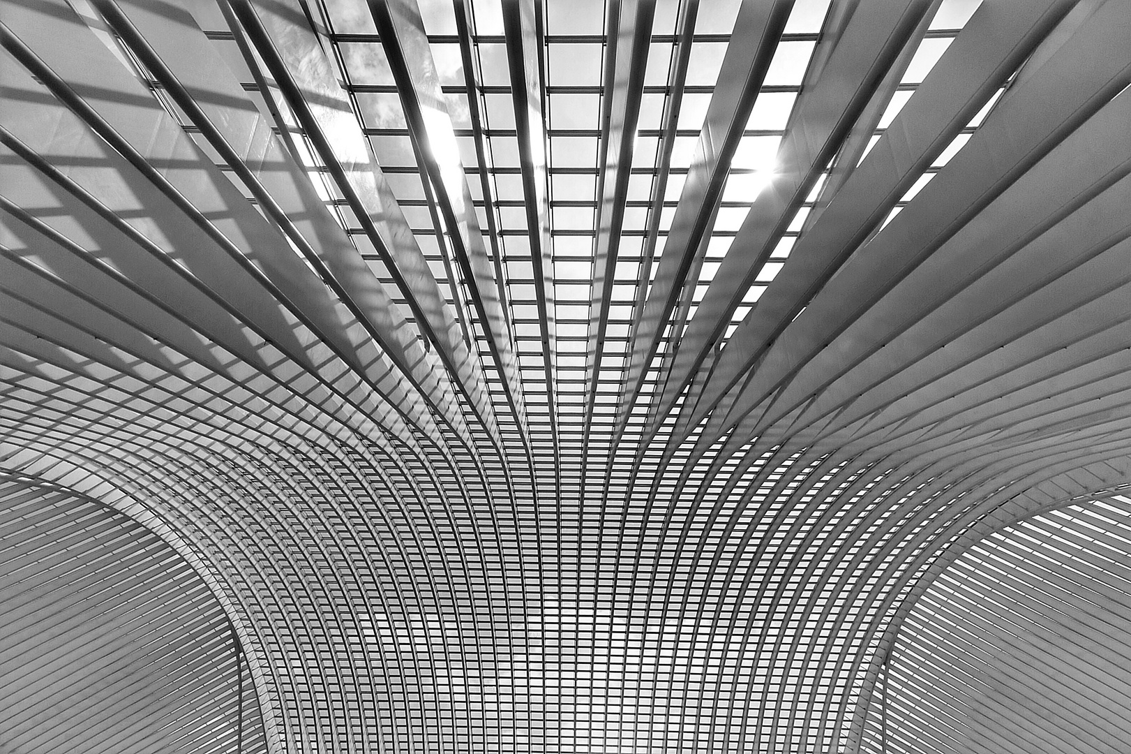 Liège-Guillemins VIII