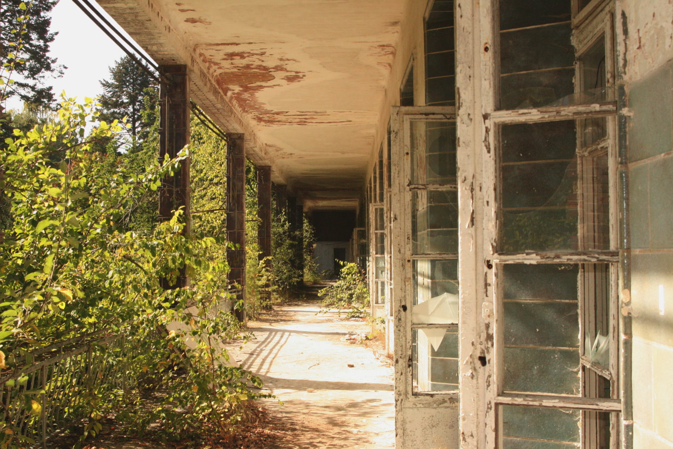 Liegebalkon in der Botanik