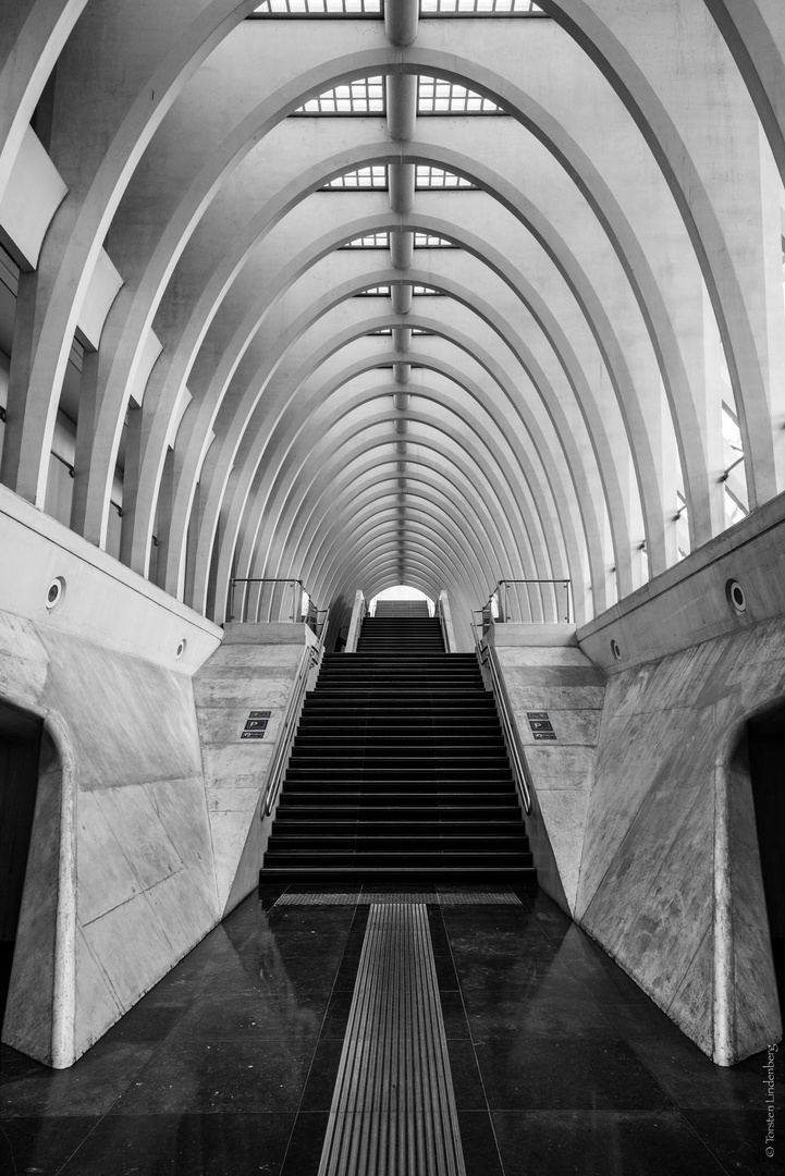 _Liège_Guillemins_002