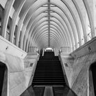 _Liège_Guillemins_002