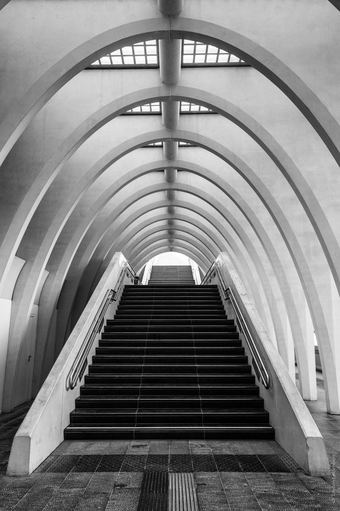 _Liège_Guillemins_005