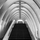 _Liège_Guillemins_005