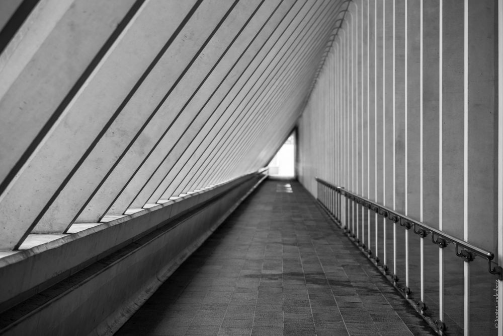 _Liège_Guillemins_009