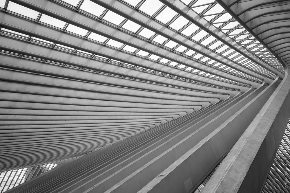 _Liège_Guillemins_010