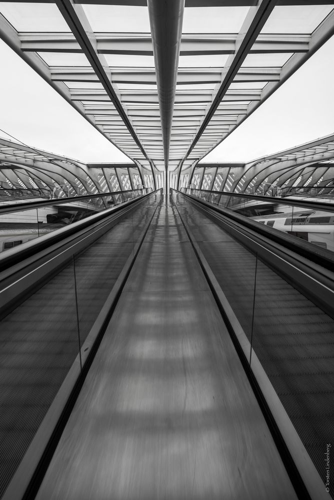 _Liège_Guillemins_011