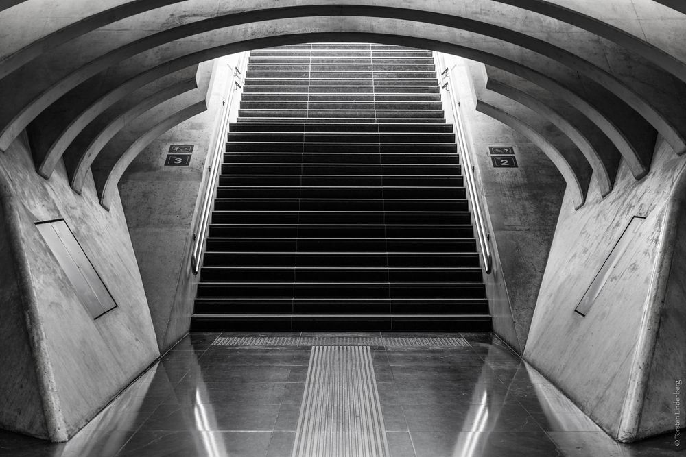 _Liège_Guillemins_013