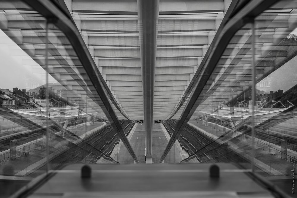 _Liège_Guillemins_014