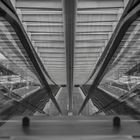 _Liège_Guillemins_014