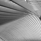 _Liège_Guillemins_015