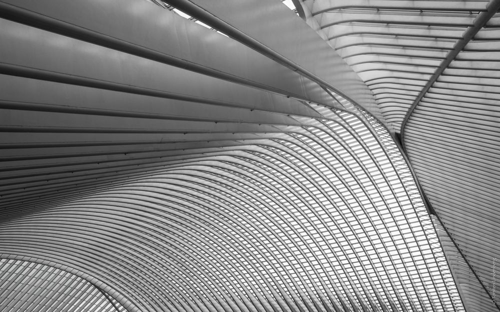 _Liège_Guillemins_015