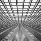 _Liège_Guillemins_016