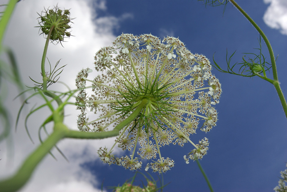 liegend gen Himmel schauen