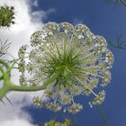 liegend gen Himmel schauen