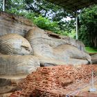 Liegender Buddha von Gal Vihara (Gesamtlänge 46m)