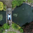 Liegeplatz am Gartenteich