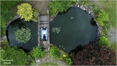 Liegeplatz am Gartenteich