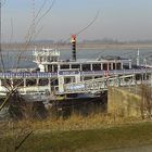 Liegeplatz der River Lady in Wesel am Rhein